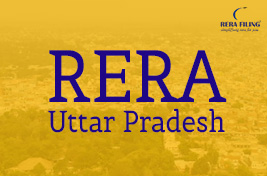 NCLT opinion was sought by UPRERA before deregistration
